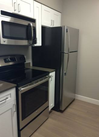 Beautiful Lincoln Park studio in a Highrise! 1