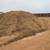 Horse manure 1 thumbnail