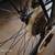 Novara Forza, 27 speed in perfect shape and hardly ever used, 4 thumbnail