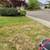 Yard service, Pruning bushes, pressure washing and much more!!! 18 thumbnail