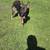 GSD 1 thumbnail