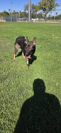 GSD 1