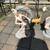 Vintage Fairy / Peter Pan chalkware laps Continental Art Co. B107 2 thumbnail