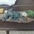 BEAUTIFUL FROG STATUES, ALL SIZES, INDIVIDUALLY PRICED 5 thumbnail