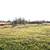 23.58 Acre Homesite For Sale - Owner Financing Available 4 thumbnail