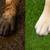 TURF! 9.5'x45' ROLLS - NEED THEM GONE! 1100 lbs per roll 9 thumbnail