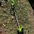 Greenworks string trimmer (battery not included) 1 thumbnail