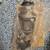 2006-2010 Honda Civic Hybrid Cat Converter 4 thumbnail