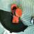BLACK+DECKER LIKE NEW ELECTRIC 2 IN 1 TRIMMER EDGER &NEW STRING SPOOLS 4 thumbnail