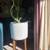 Stunning mid century standing pot with mature monstara. 9 thumbnail
