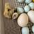 Celadon Coturnix Quail Chicks (10 chicks for $5 each) 3 thumbnail