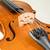 2017 Yamaha V10G Violin (Advanced), 4/4 - Full Outfit 18 thumbnail