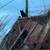 Some Great Cats Would Appreciate Any Help 22 thumbnail