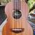 ⭐️2021 D'Angelico Concert Ukulele w/Case 6 thumbnail