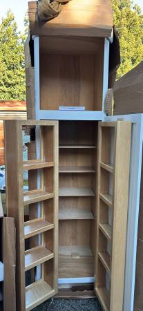 Cabinet pantry 1