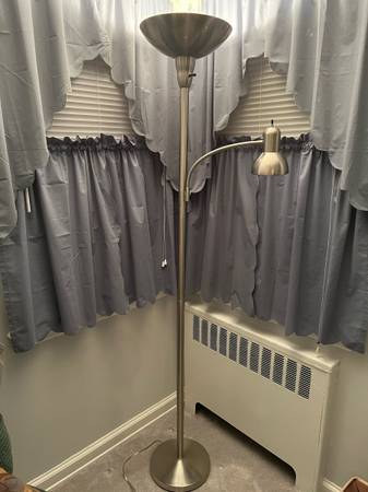 Gooseneck Floor Lamp 1