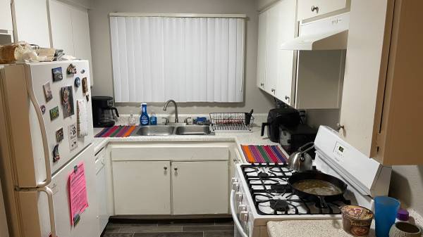 $1,300 / 1br - 126ft2 - Buscando compañero de cuarto, disponible enero 2026 (Palm Springs)63668337323009123