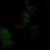 R MARINO  vintage 90s 3D GLOW IN THE DARK  wall heads 24 thumbnail