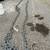 1/2 ACCO Mooring Chain Shackles Swivels an hor line other chain amd moorong gear 1 thumbnail