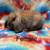 Bunnies 21 thumbnail