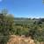 Knoll-Top Orchard Estate Setting In The Corralitos Foothills! 21 thumbnail