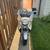 Honda 2004 Silver Wing Scooter 2 thumbnail
