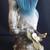Masterpiece Porcelain Bluebird Figurine 4 thumbnail