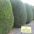 Residential Landscaping and Lawn Care Services! Mr. Joe's Lawn Care LL 2 thumbnail
