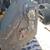 DEERE 331G *** LOADED and HIGH FLOW *** Skidsteer Bobcat 11 thumbnail