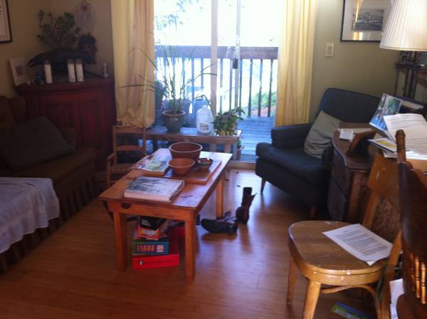 $775 / 1br - Light filled, quiet, low allergen room (West Olympia)63786943688577122