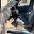 1994 Dodge Dakota 6 thumbnail