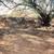 40 acres located inside Tohono O'odham Indian Reservation 15 thumbnail