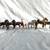 HUGE Entire Breyer Horse Collection! Something for everyone! 9 thumbnail