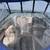 2007 Chaparral SSi 215 6 thumbnail