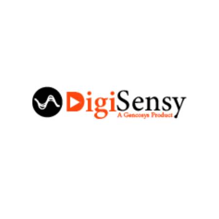 DigiSensy : best digital marketing company in Lucknow 1