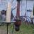 Colonial Chandelier Farmhouse 2 thumbnail