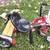 SCHWINN ROADSTER 12 INCH CLASSIC RED METAL TRICYCLE with BELL 1 thumbnail