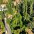 Builders, here are 3 lots combined at this 1 low price! 10 thumbnail