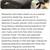 2013 Volvo XC90, AWD, Excellent condition! Like new! 24 thumbnail