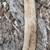 PLUMB Vtg Camp Axe, 3-7/8" Wide Bit, 19.5" Long, 2 lb. 13 oz. 5 thumbnail