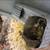 Gutter Cleaning - Repairs - Power Washing - Call Alex 4 thumbnail