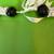 ~~BEAUTIFUL  HAWAIIAN  MONGO  SHELL  AND  KUKUI  NUT  LEI  NECKLACE~~ 3 thumbnail