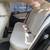 2013 Volkswagen Jetta TDI Sedan - Auto/Leather/Roof/Wheels - SHARP!! 9 thumbnail