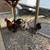Bantam Chickens 2 thumbnail
