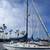 1986 ERICSON 381 SAILBOAT 1 thumbnail