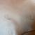 Ralph Lauren Ginger Brown Full Grain Leather Upholstery Cow Hides 3 thumbnail