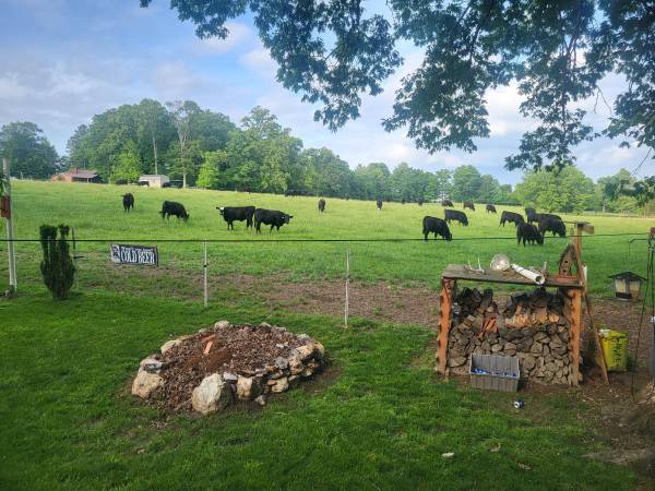 $12,500 Camper in a Park (Maryville)