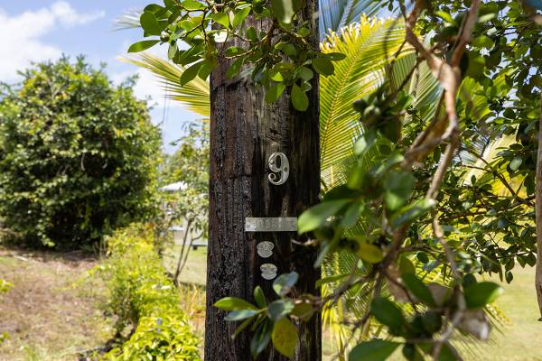 $99,000 / 43560ft2 - En Venta Terreno de 1 Acre en Calle Sin Salida en Baja HPP Cerca del Área del Océano (Keaau, Hawái)63686727570433123