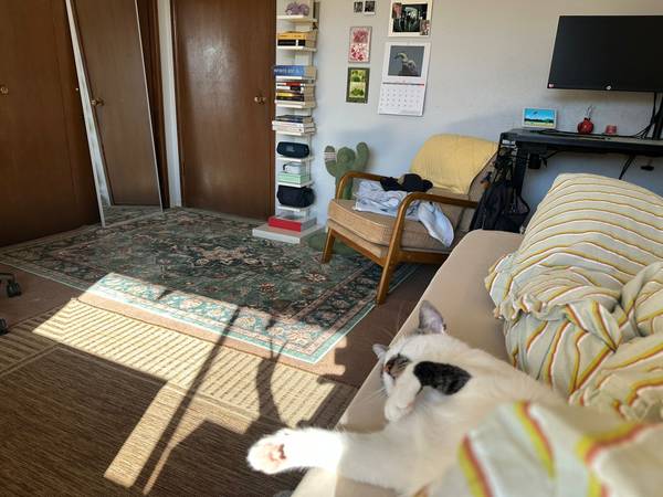 $1,580 / 8br - Room Available in Large Home Oct 1st (los altos)63880132840835122
