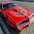 1978 Pontiac Firebird Trans Am 3 thumbnail